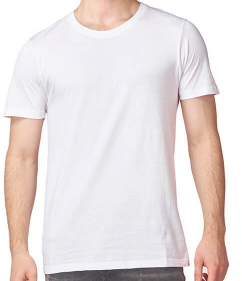 Polera Premium